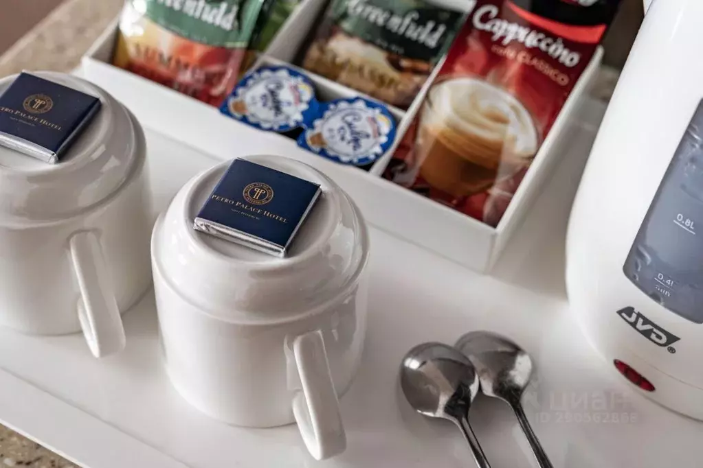 Комната Санкт-Петербург Малая Морская ул., 14 (23.0 м) - Фото 2