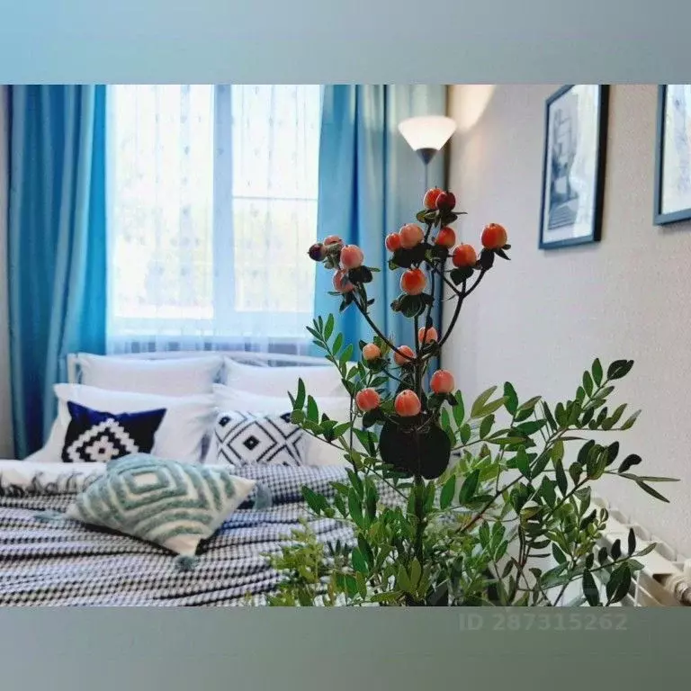 1-к кв. Воронежская область, Воронеж Ленинский просп., 20/4 (45.0 м) - Фото 1