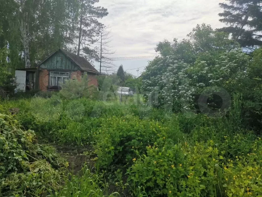 Дача 18 м на участке 6 сот. - Фото 1