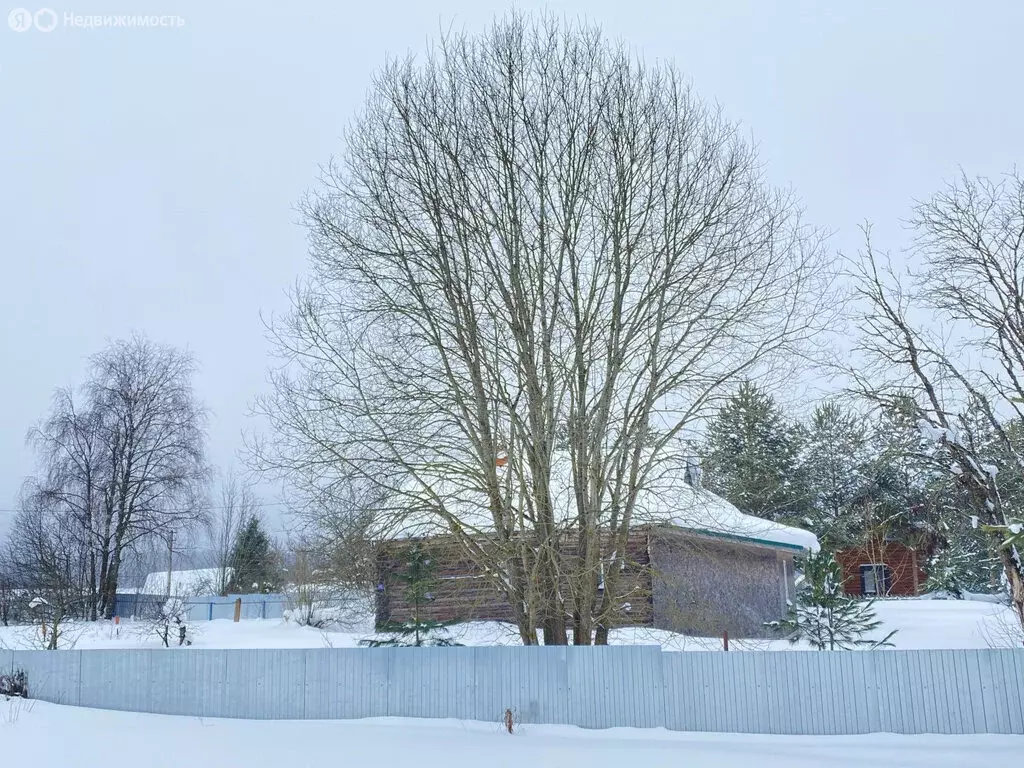 Участок в Вологодская область, Грязовецкий муниципальный округ, ... - Фото 2
