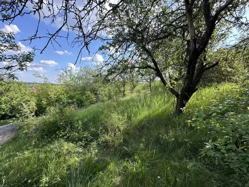 Участок в Белгородская область, Белгородский район, Беломестненское ... - Фото 1