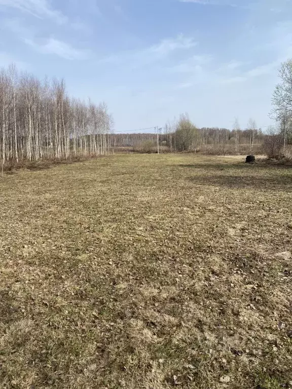 Участок в Нижегородская область, Городецкий муниципальный округ, с. ... - Фото 1