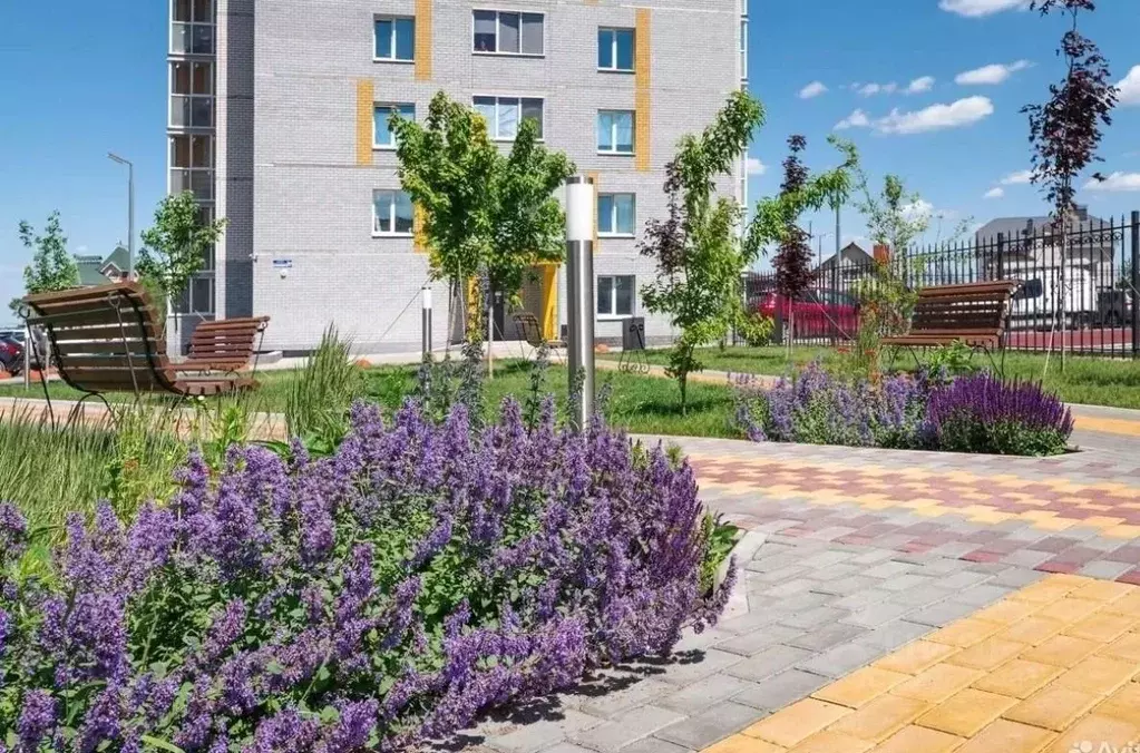1-к кв. Воронежская область, Воронеж ул. Независимости, 55/7 (45.4 м) - Фото 1