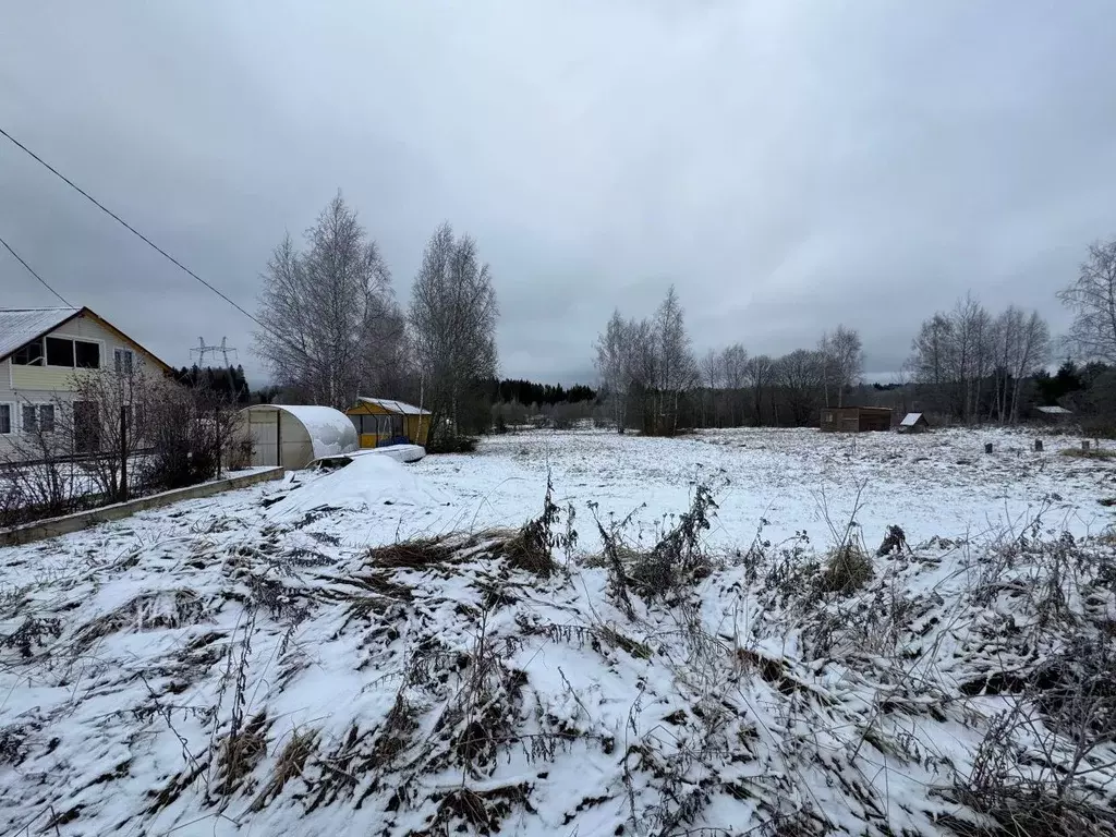 Участок в Московская область, Волоколамский муниципальный округ, д. ... - Фото 1