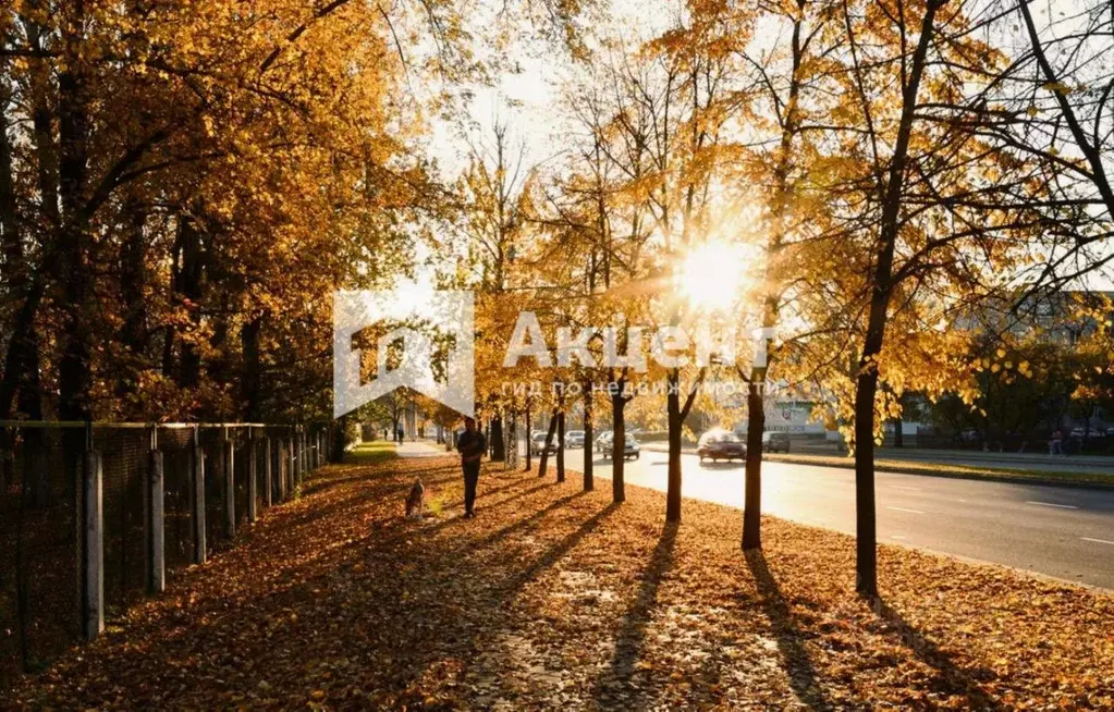 3-к кв. Ивановская область, Ивановский район, Богородское с/пос, с. ... - Фото 0