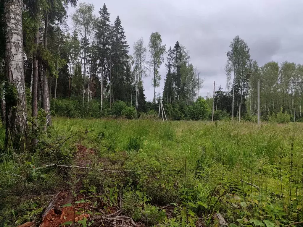 Участок в Московская область, Солнечногорск городской округ, Воробьево ... - Фото 0