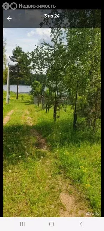 Участок в Тверская область, Андреапольский муниципальный округ, ... - Фото 1