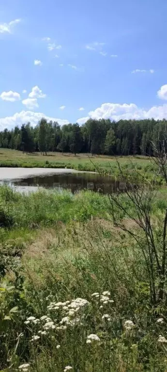 Участок в Татарстан, Высокогорский район, с. Семиозерка Луговая ул. ... - Фото 2