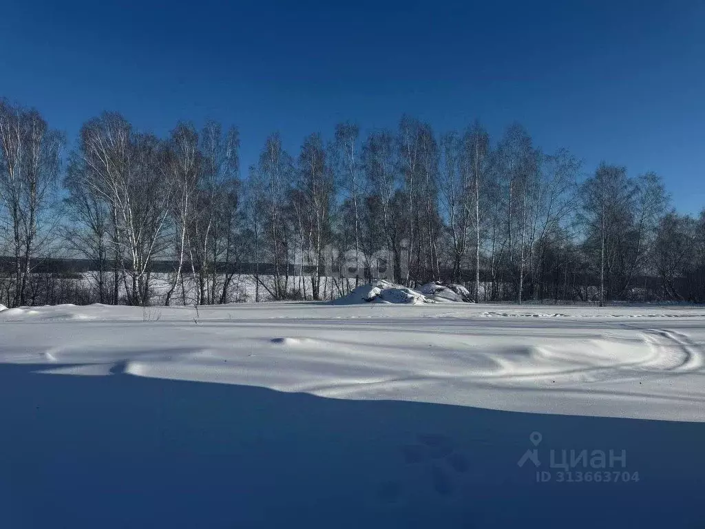 Участок в Новосибирская область, Искитимский район, Мичуринский ... - Фото 1