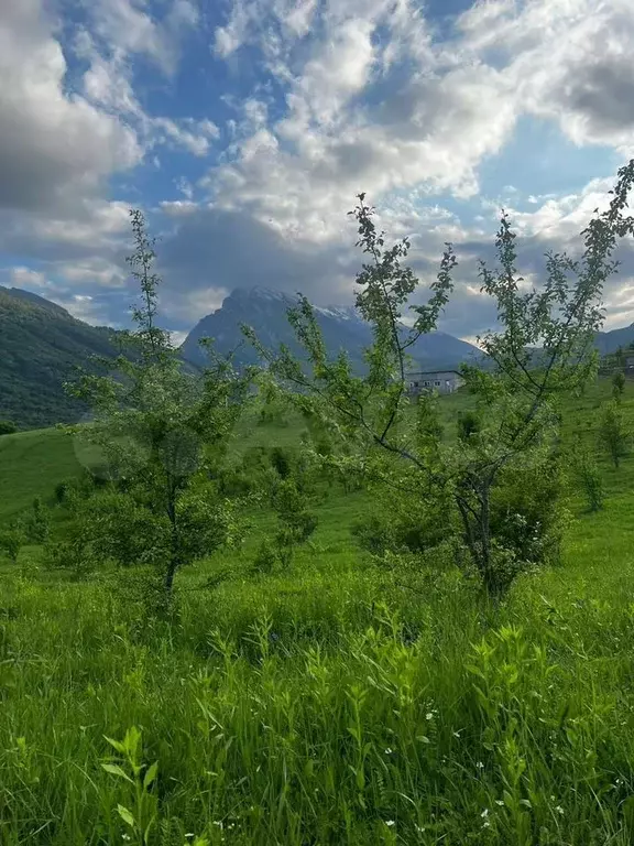 Участок 6 сот. (ИЖС) - Фото 0