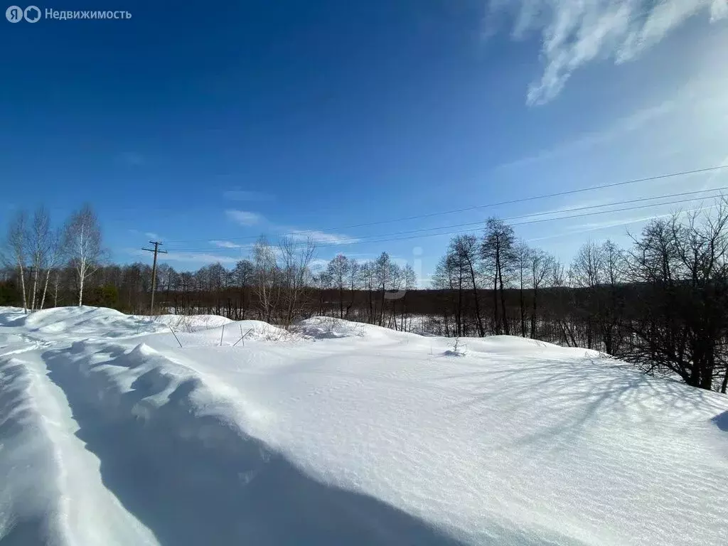 Участок в Нижегородская область, Балахнинский муниципальный округ, ... - Фото 1