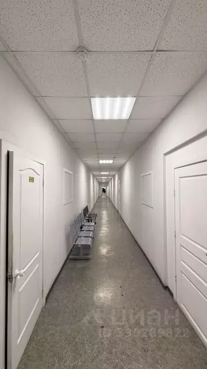 Офис в Новосибирская область, Новосибирск Танковая ул., 72 (81 м) - Фото 1