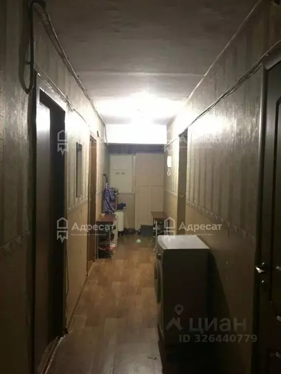 Комната Волгоградская область, Волгоград ул. 64-й Армии, 20А (16.8 м) - Фото 1