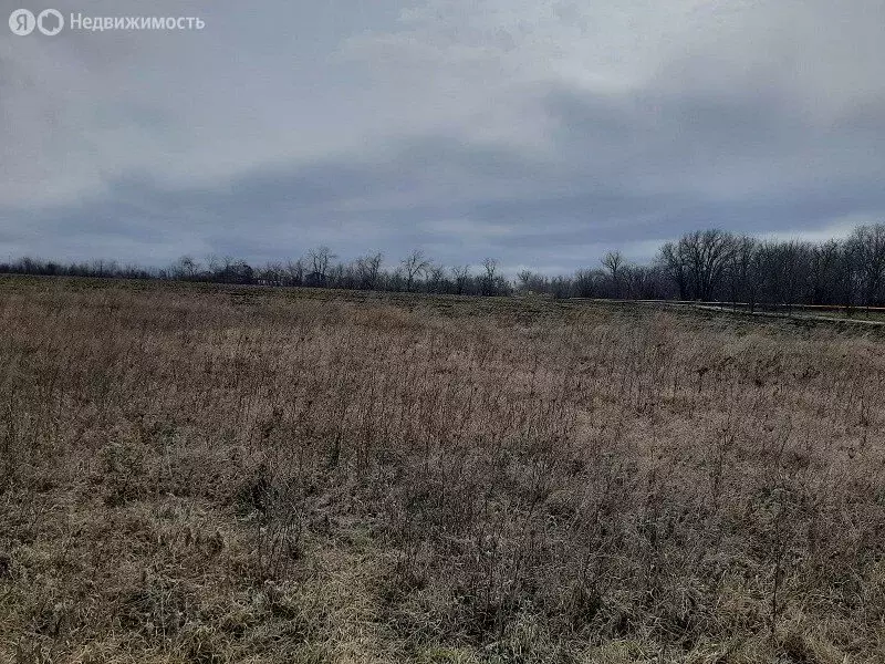 Участок в посёлок Овощной, Школьная улица, 23 (3.61 м) - Фото 0