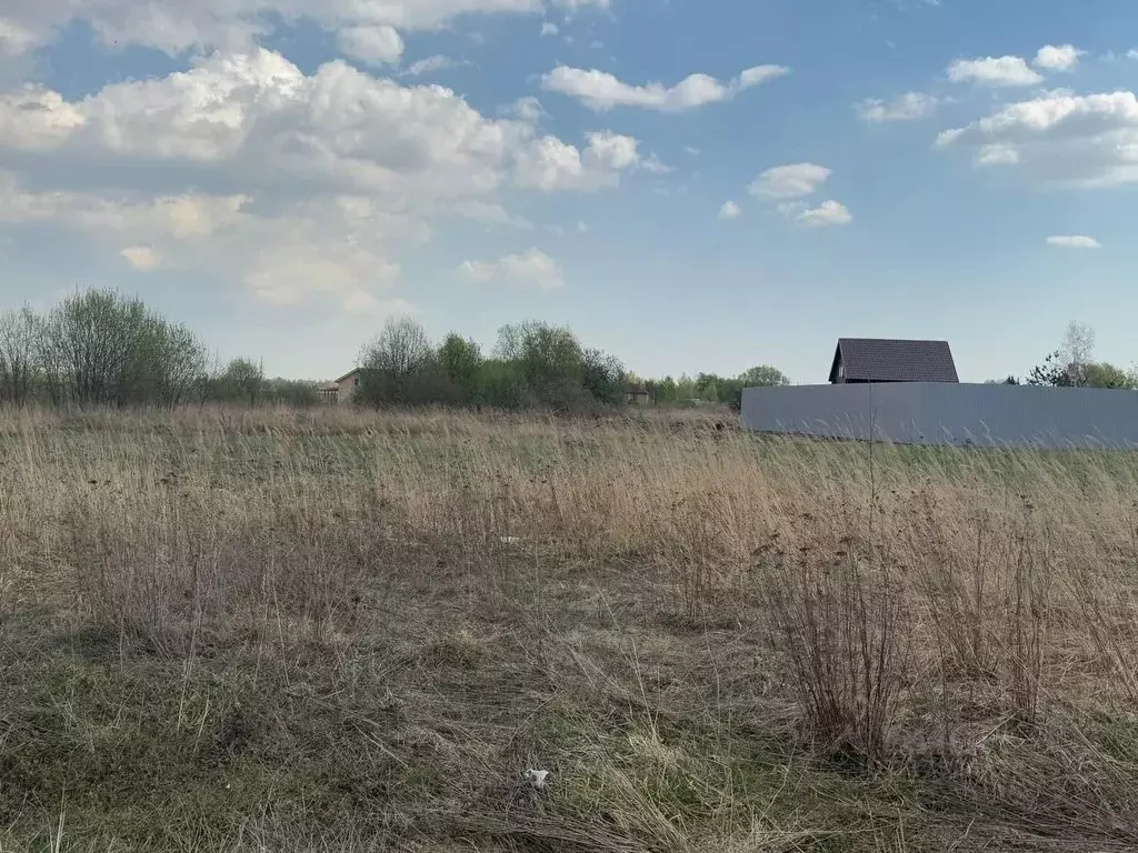 Участок в Московская область, Богородский городской округ, д. Старые ... - Фото 1