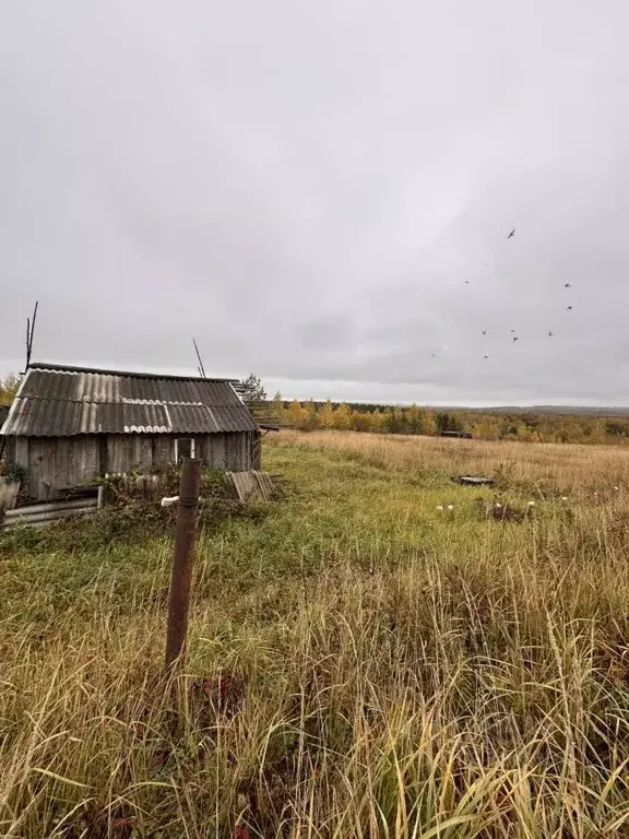 Участок в Нижегородская область, Кстовский муниципальный округ, д. ... - Фото 1