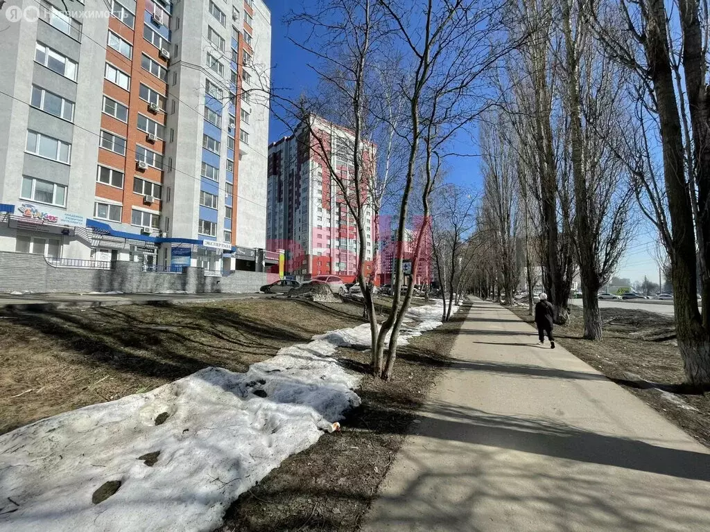 Офис (137.3 м) - Фото 2