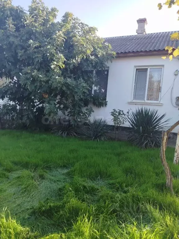 Дом в Севастополь с. Орловка, ул. Школьная (57 м) - Фото 1