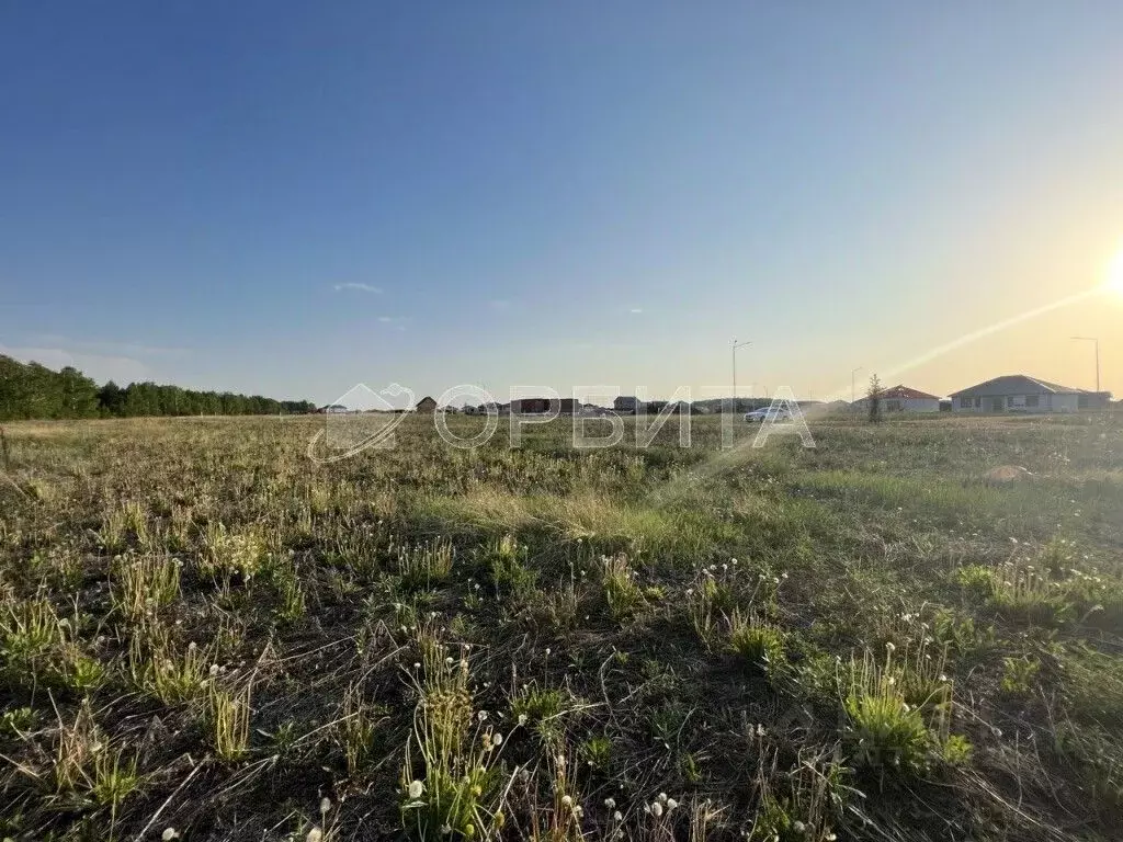 Участок в Тюменская область, Тюменский район, с. Кулаково, Зеленые ... - Фото 1