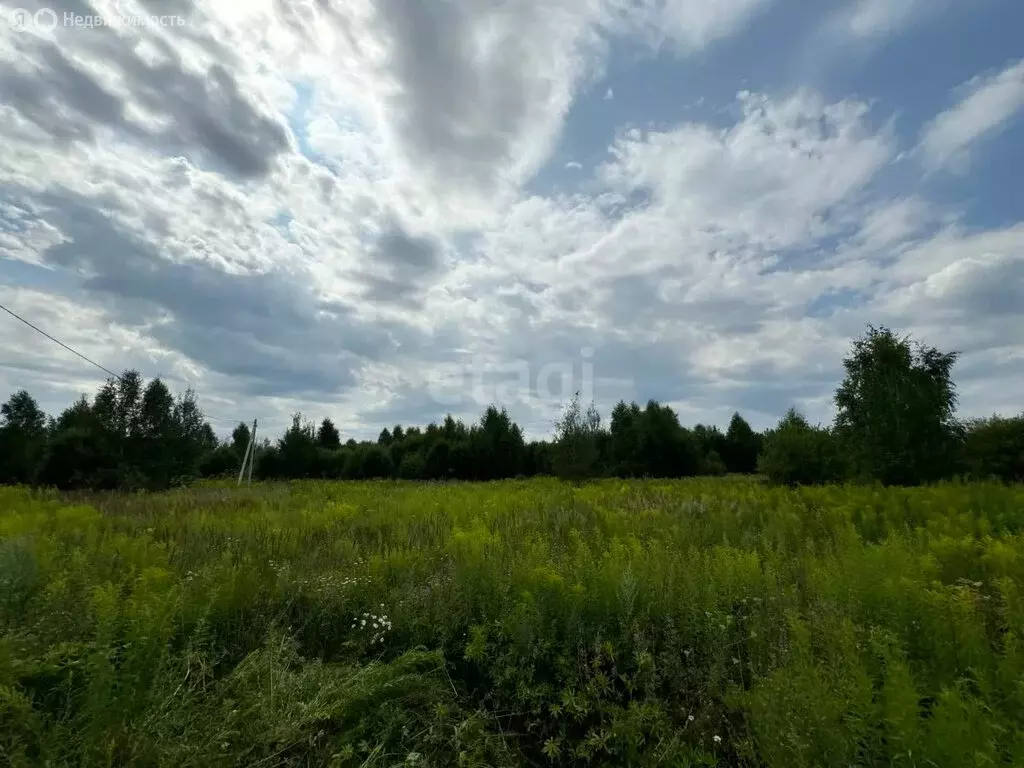 Участок в Нижегородская область, Городецкий муниципальный округ, ... - Фото 1