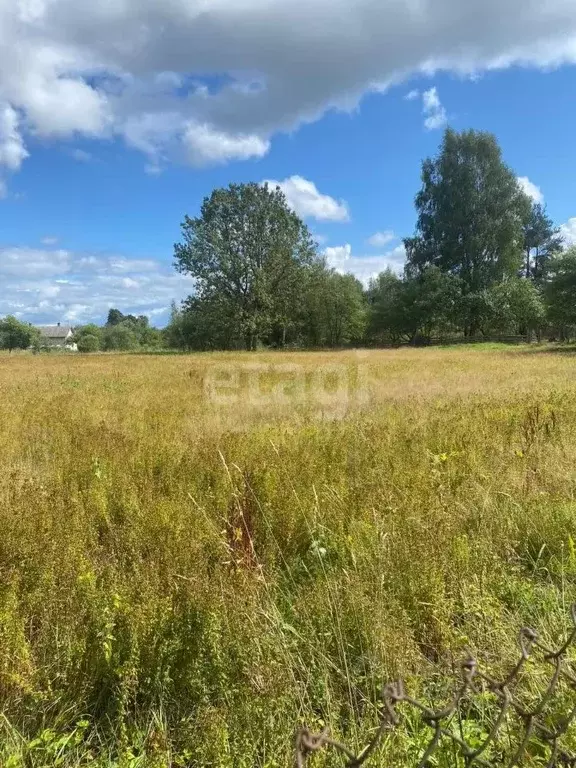 Участок в Псковская область, Печорский муниципальный округ, д. Лавры ... - Фото 1