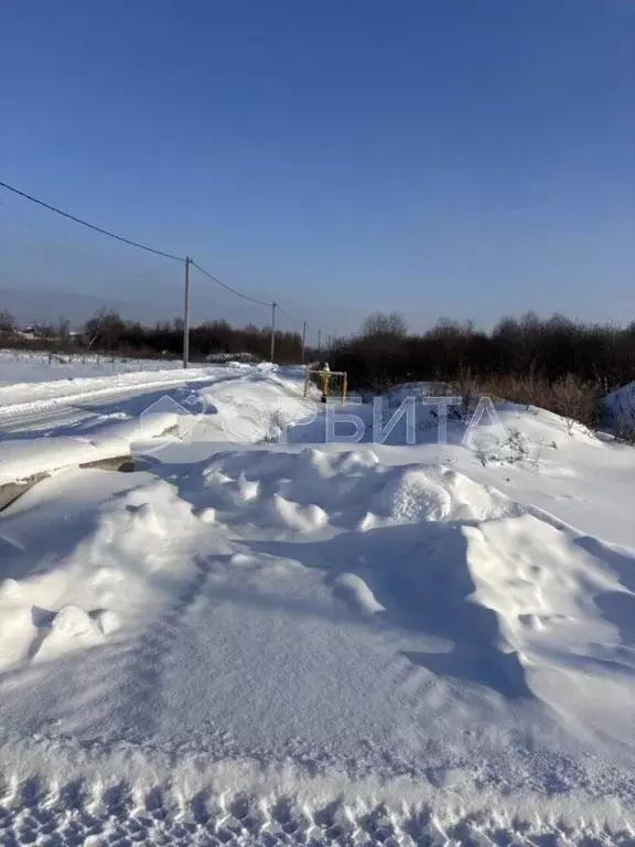 Участок в Тюменская область, Тюмень Большое Царево-1 СНТ,  (10.0 сот.) - Фото 2