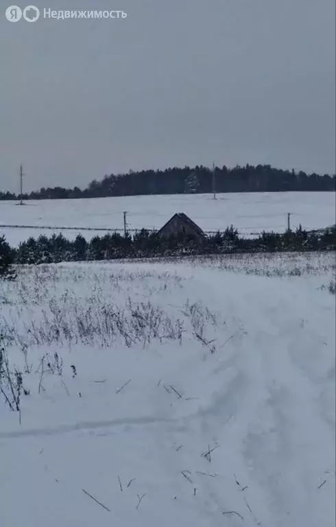 Участок в деревня Ширяева, Таёжная улица (15 м) - Фото 1