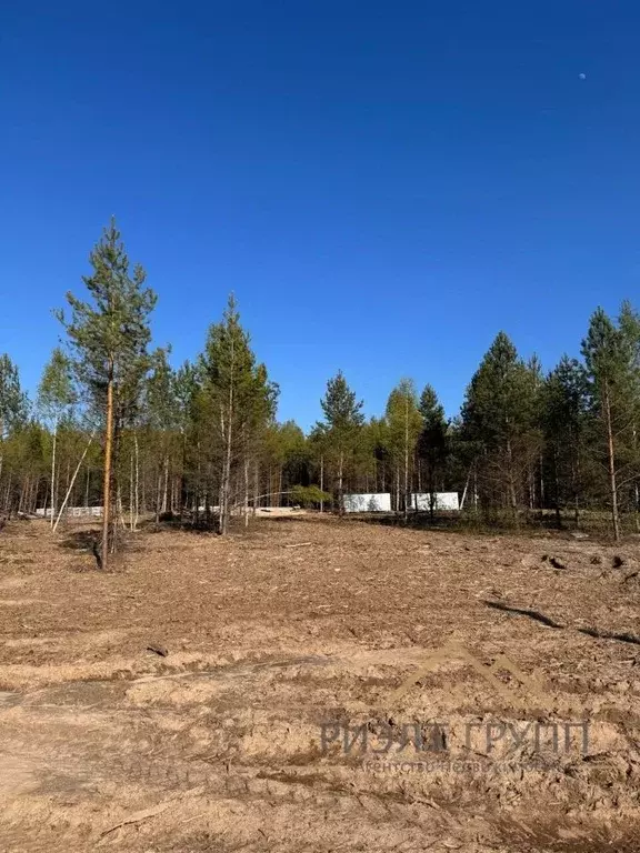 участок в татарстан, высокогорский район, семиозерское с/пос, . - Фото 0