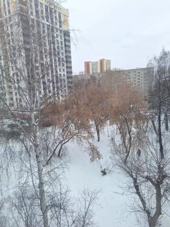 Комната Свердловская область, Екатеринбург ул. Щорса, 56Б (14.0 м) - Фото 2