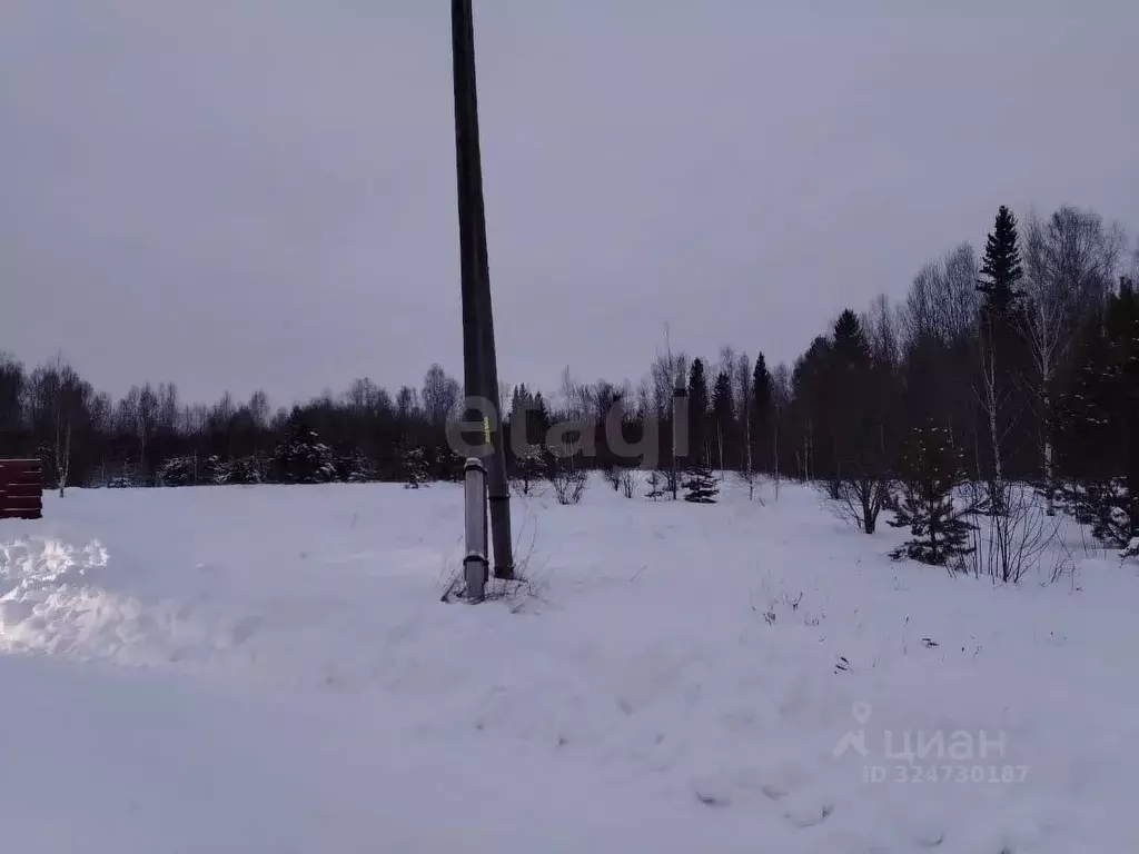 Участок в Томская область, Томский район, с. Корнилово, Красная горка ... - Фото 1