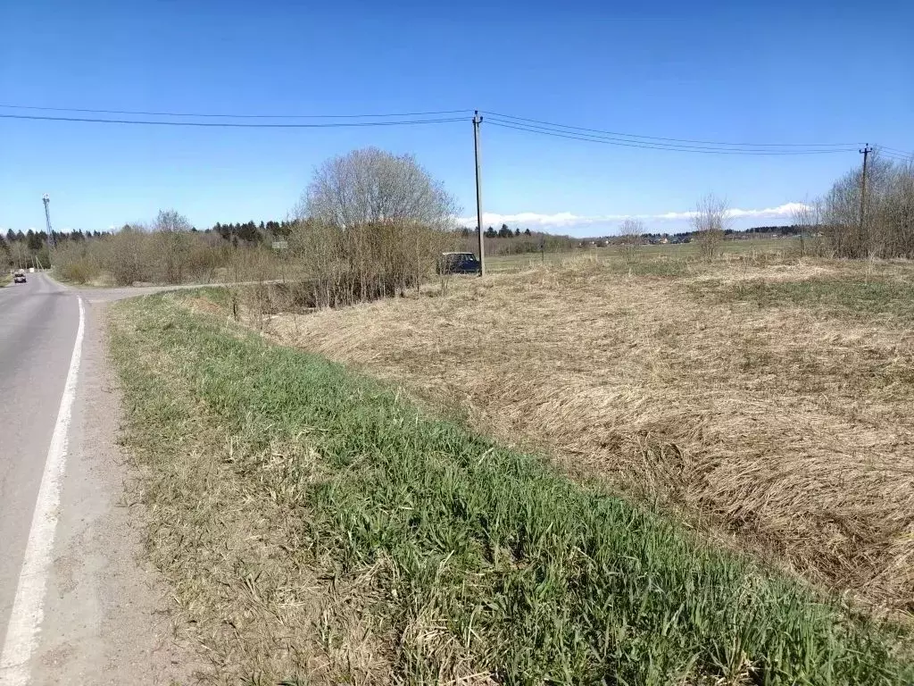 Участок в Ленинградская область, Ломоносовский район, Лопухинское ... - Фото 1