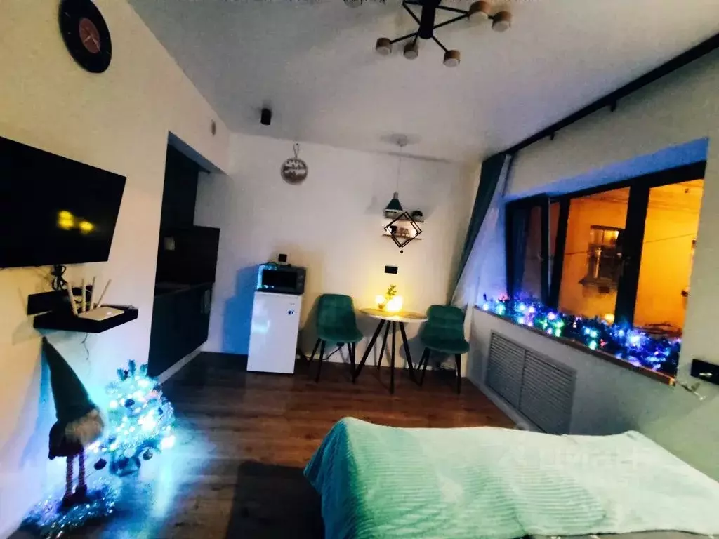 Студия Ленинградская область, Выборг ул. Водной Заставы, 6 (20.0 м) - Фото 1