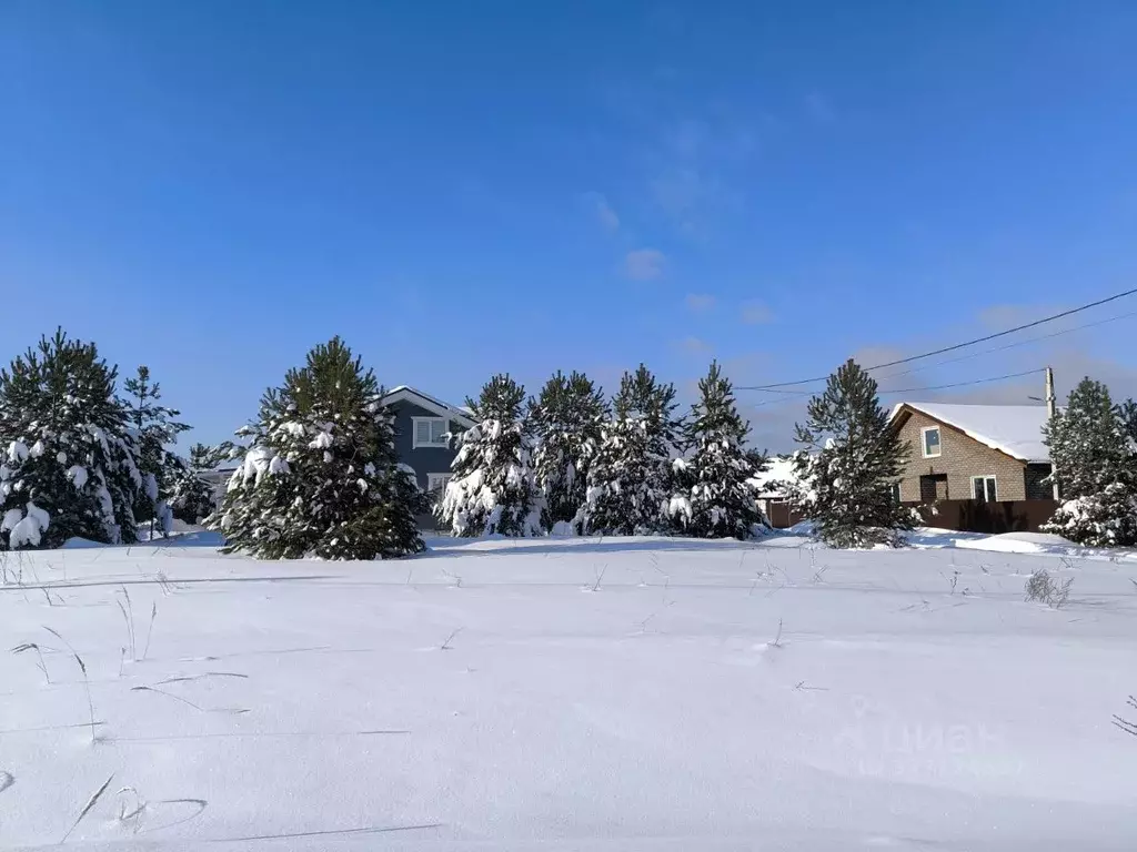Участок в Московская область, Раменский муниципальный округ, с. Речицы ... - Фото 1