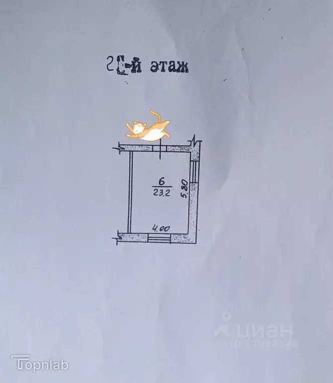 Комната Орловская область, Орел Шпагатный пер., 50 (23.2 м) - Фото 2
