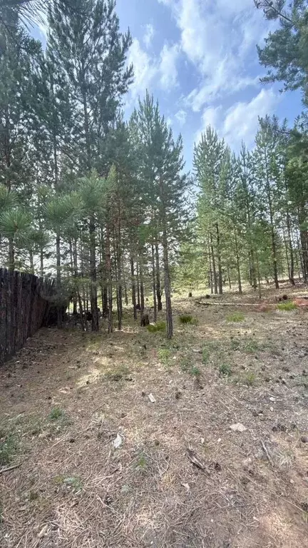 Участок 10 сот. (СНТ, ДНП) - Фото 0