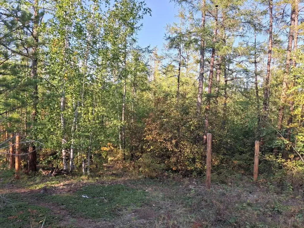 Участок в Якутск, Вилюйский тракт (7 м) - Фото 2