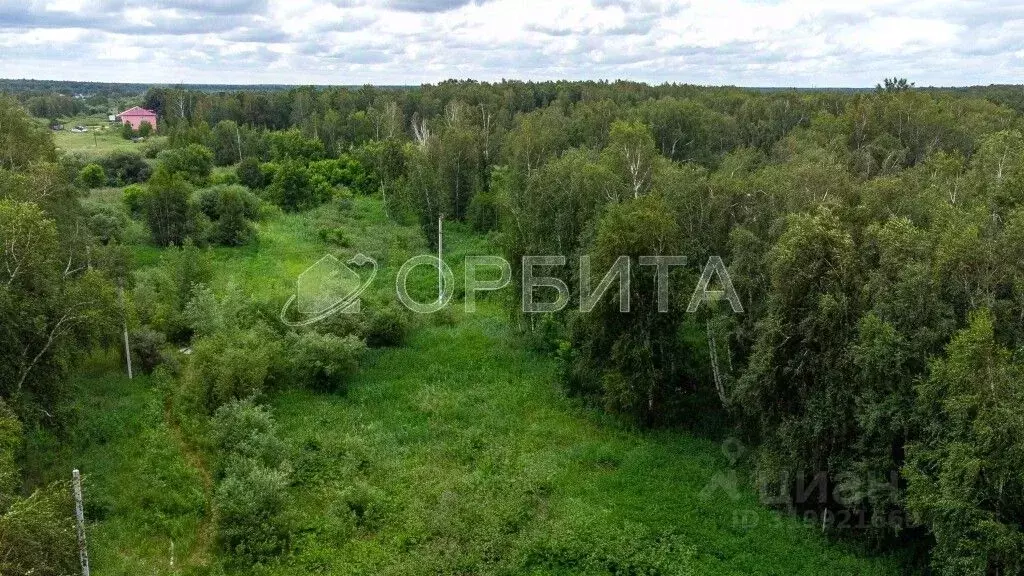 Участок в Тюменская область, Тюменский район, д. Решетникова ул. ... - Фото 1