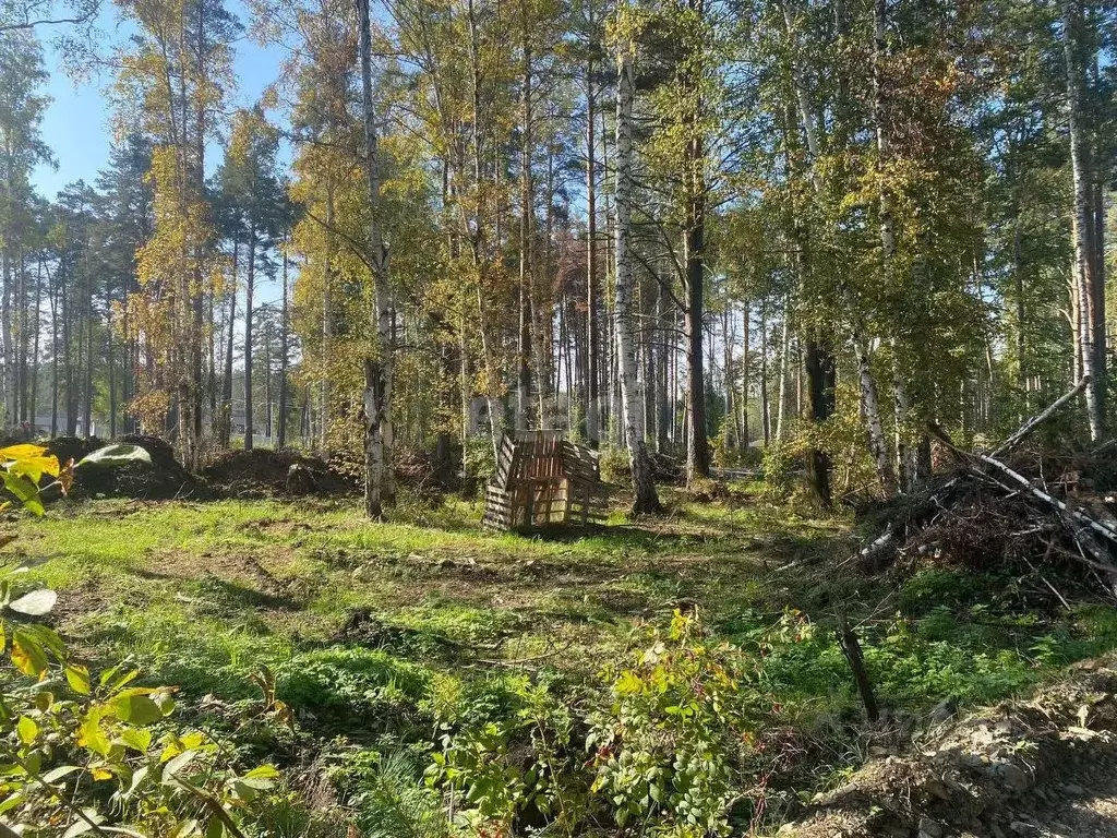 Участок в Свердловская область, Екатеринбург ИЖС Парк Тихое место кп,  ... - Фото 1