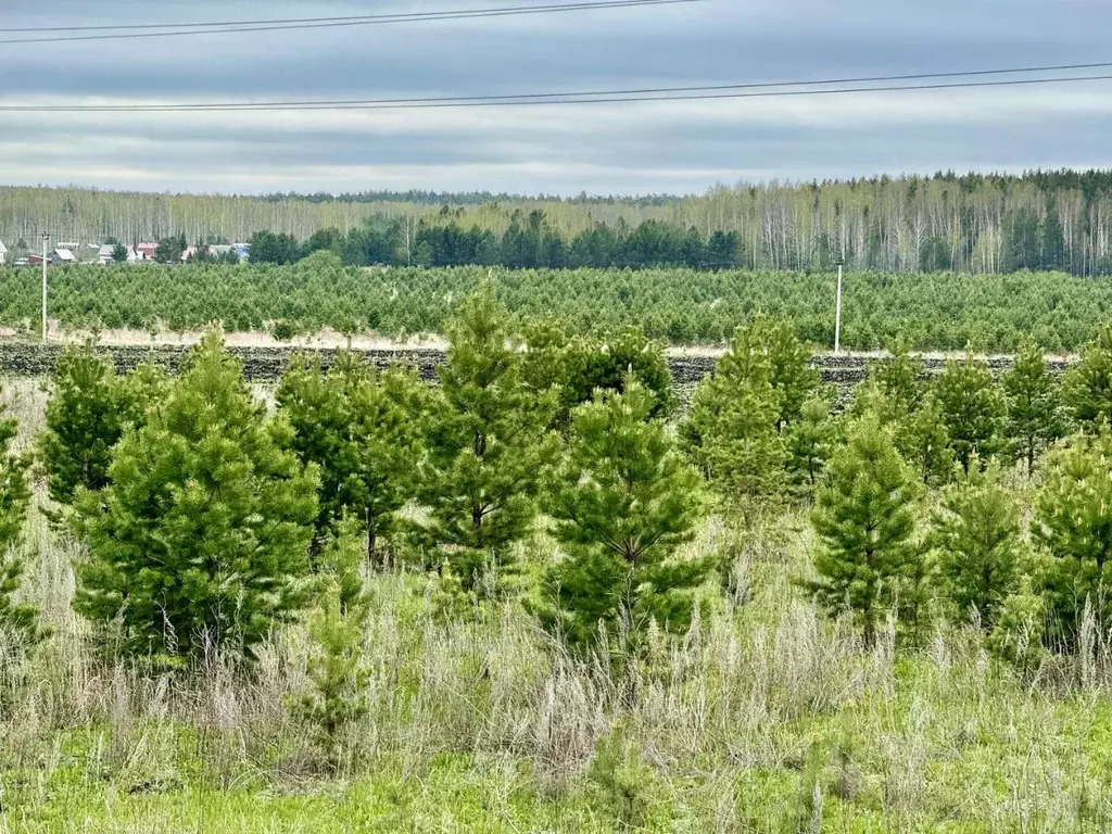 Участок в Свердловская область, Белоярский муниципальный округ, Долина ... - Фото 0