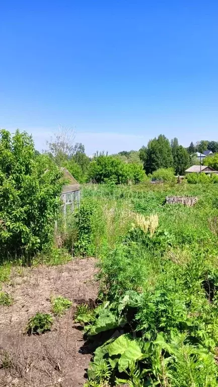 Участок в Алтайский край, Барнаул городской округ, с. Лебяжье ул. ... - Фото 0