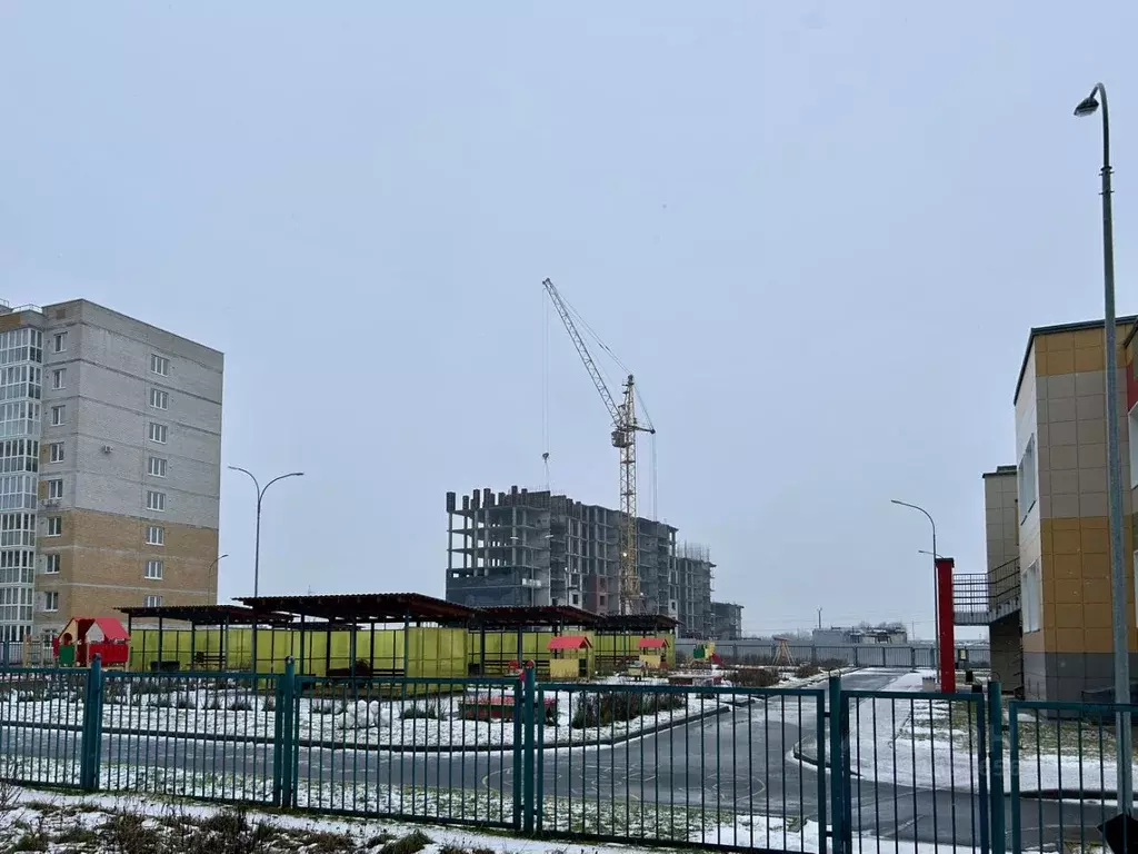 1-к кв. Псковская область, Псковский район, Завеличенская волость, д. ... - Фото 2