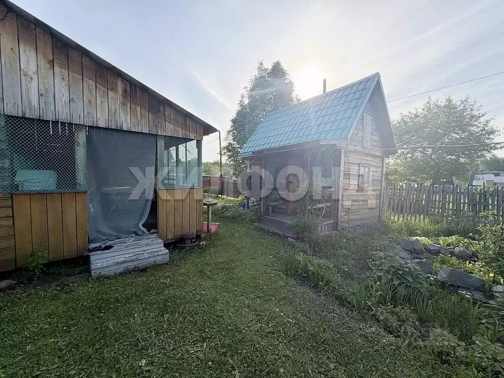 Участок в Новосибирская область, Тогучинский район, Ветеран СНТ  (6.0 ... - Фото 2