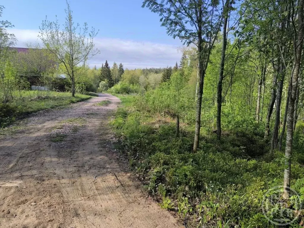 Участок в Ленинградская область, Выборгский район, Первомайское с/пос ... - Фото 1