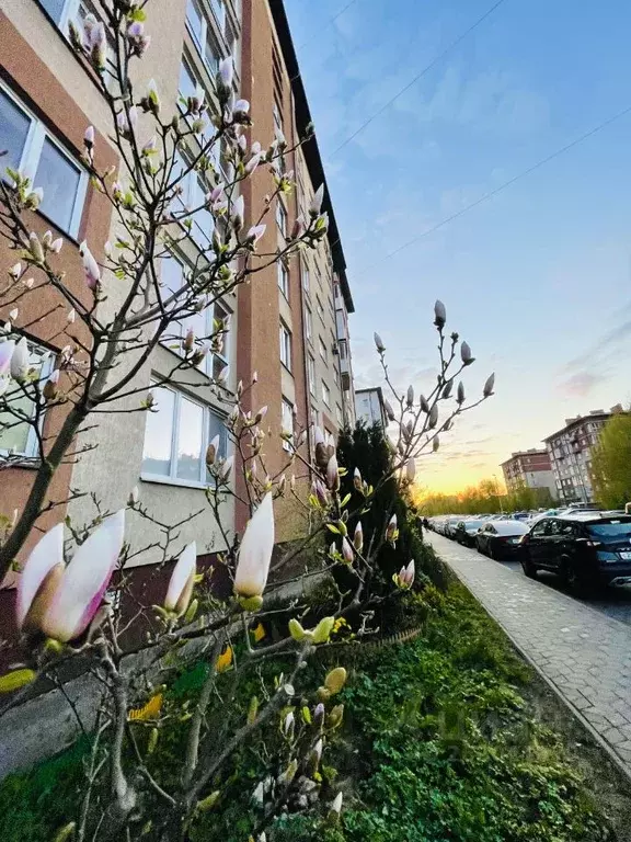 2-к кв. Калининградская область, Калининград Римская ул., 24 (75.0 м) - Фото 1