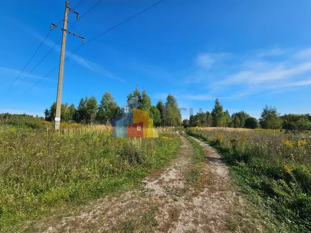Участок в Тульская область, Дубенский район, Протасовское с/пос, д. ... - Фото 2