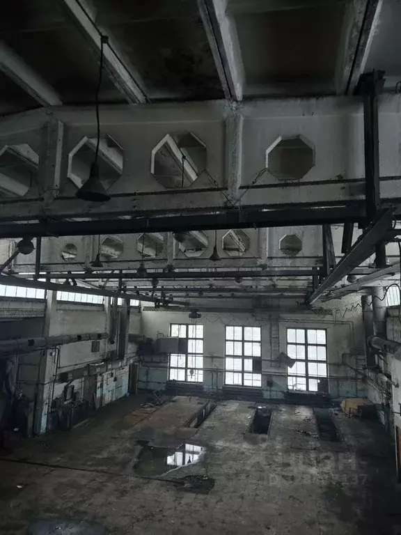 Помещение свободного назначения в Санкт-Петербург Камчатская ул., 19М ... - Фото 0