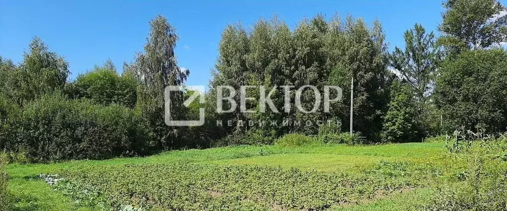 Участок в Костромская область, Костромской район, Чернопенское с/пос, ... - Фото 1