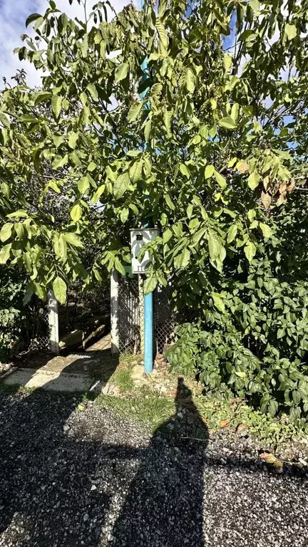 Участок в Крым, Алушта муниципальный округ, с. Изобильное ул. ... - Фото 1