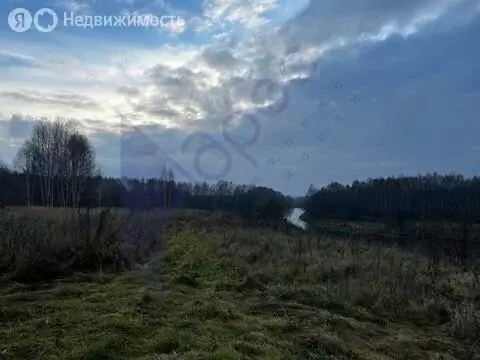 Участок в Нижегородская область, муниципальный округ Сокольский, ... - Фото 2
