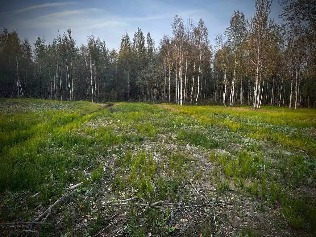 Участок в Новгородская область, Малая Вишера ул. 3-я Парковая (12.0 ... - Фото 0